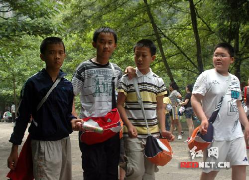 单击查看大图片
